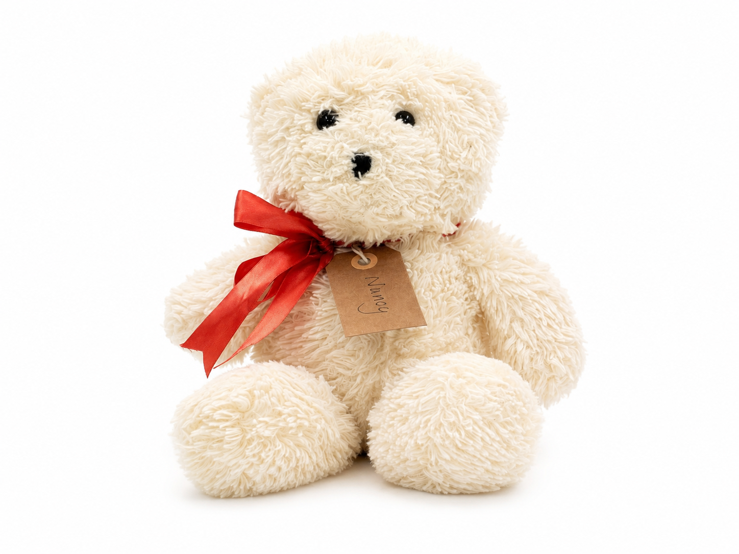 Nancy, a rescued teddy bear