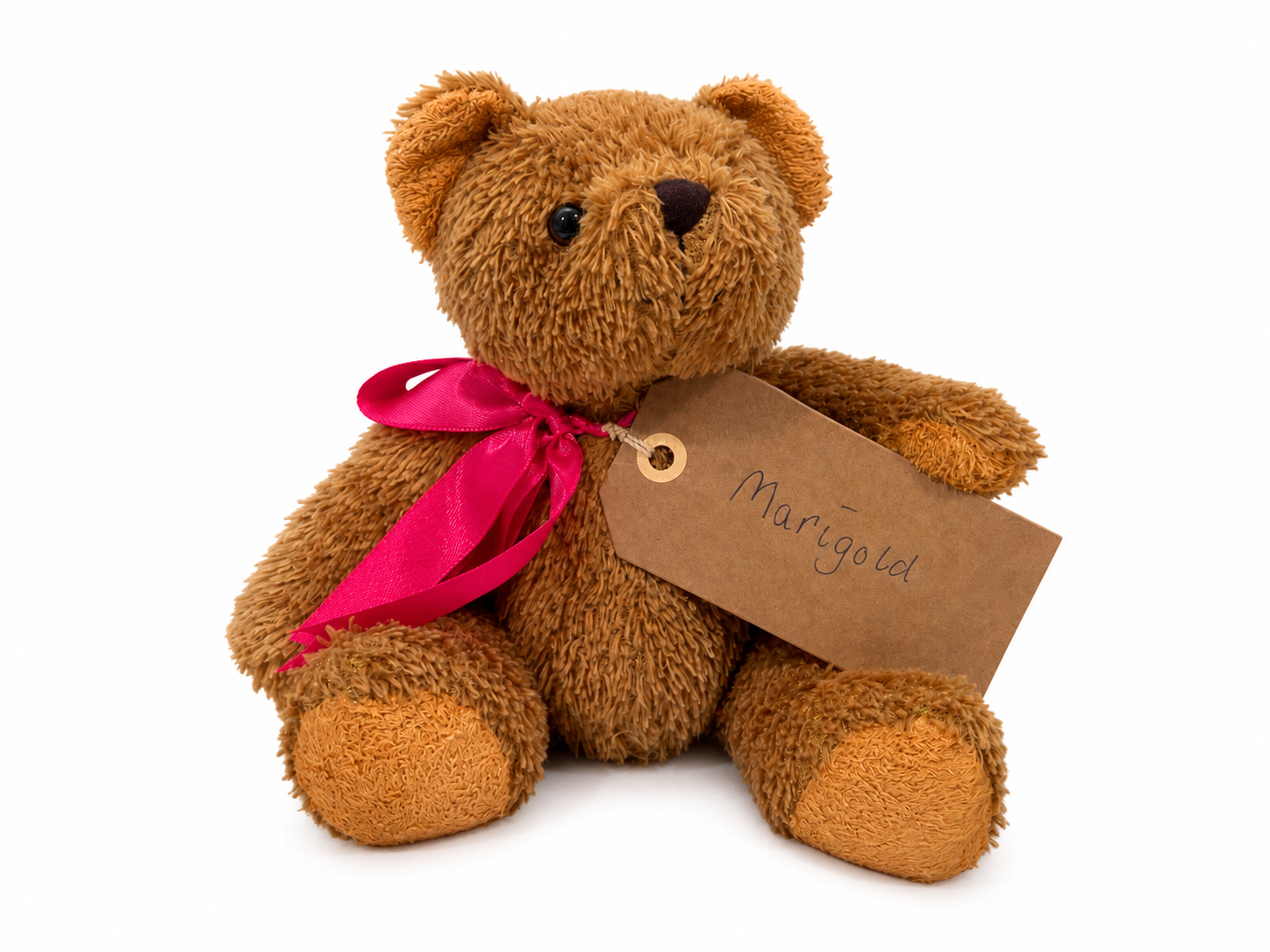 Marigold, a rescued teddy bear