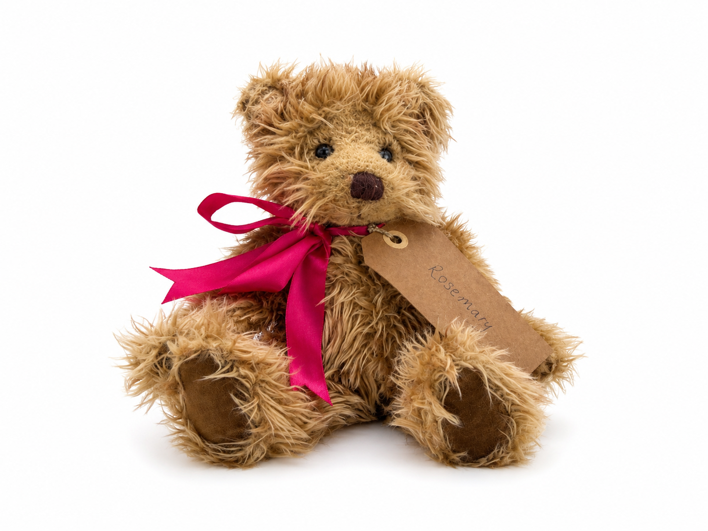 Rosemary, a rescued teddy bear