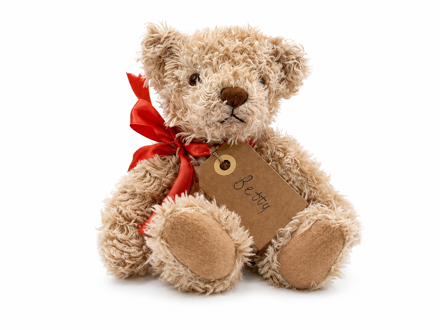 Betty, a rescued teddy bear