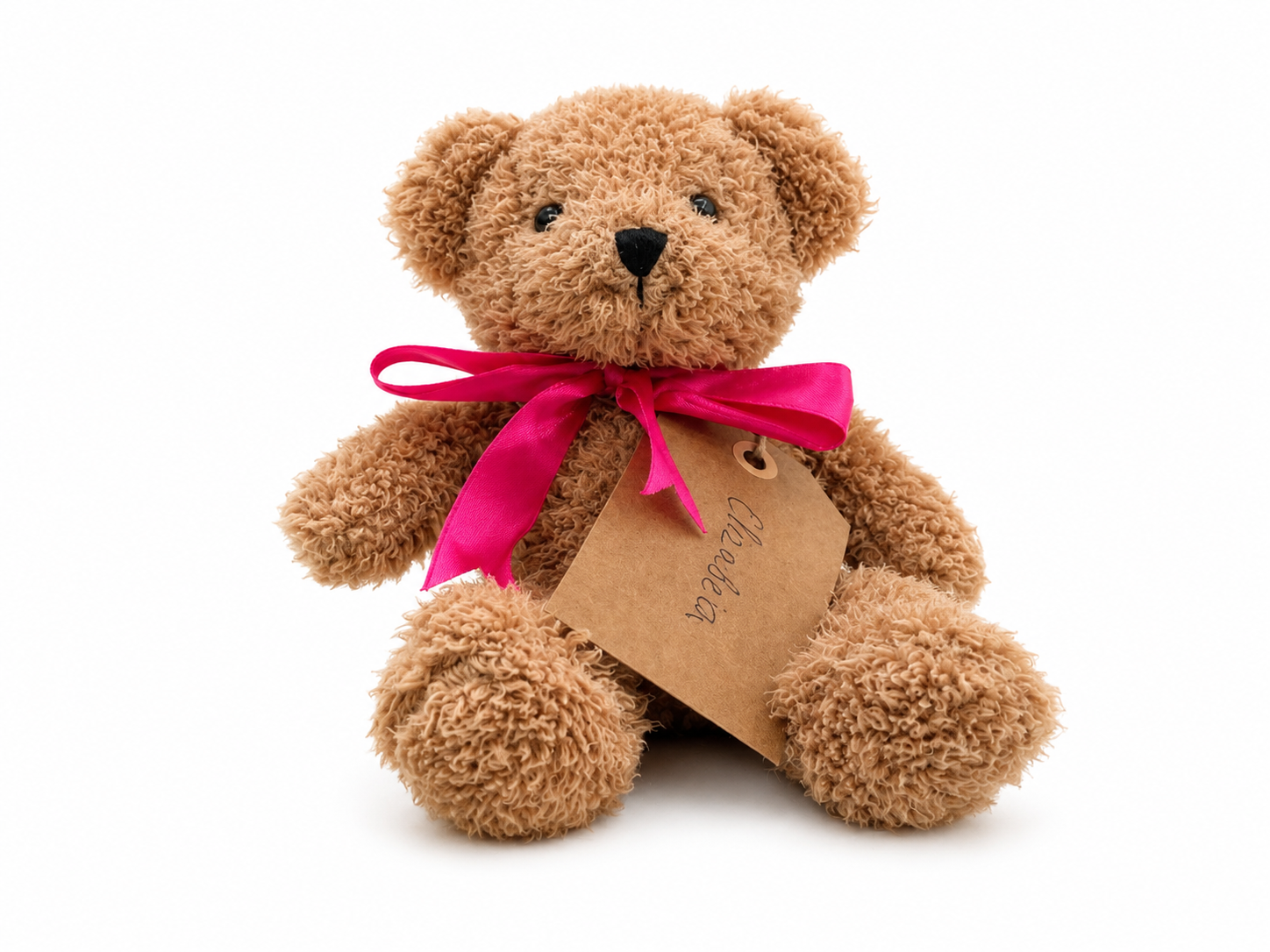 Elizabeth, a rescued teddy bear