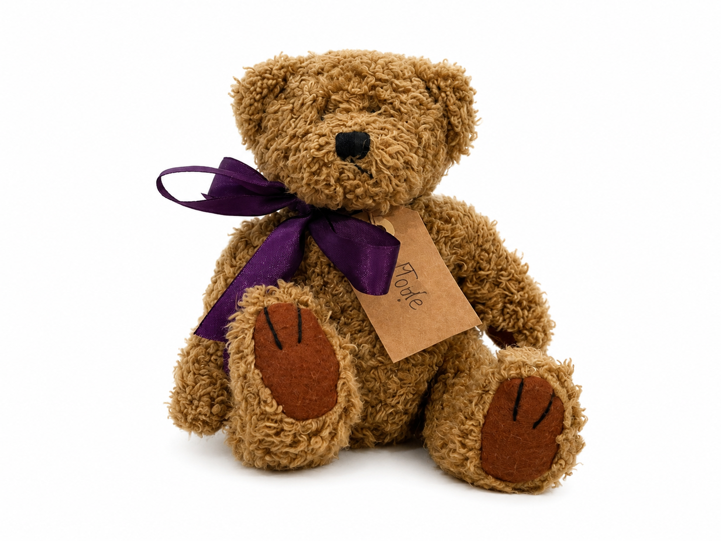 Jude, a rescued teddy bear