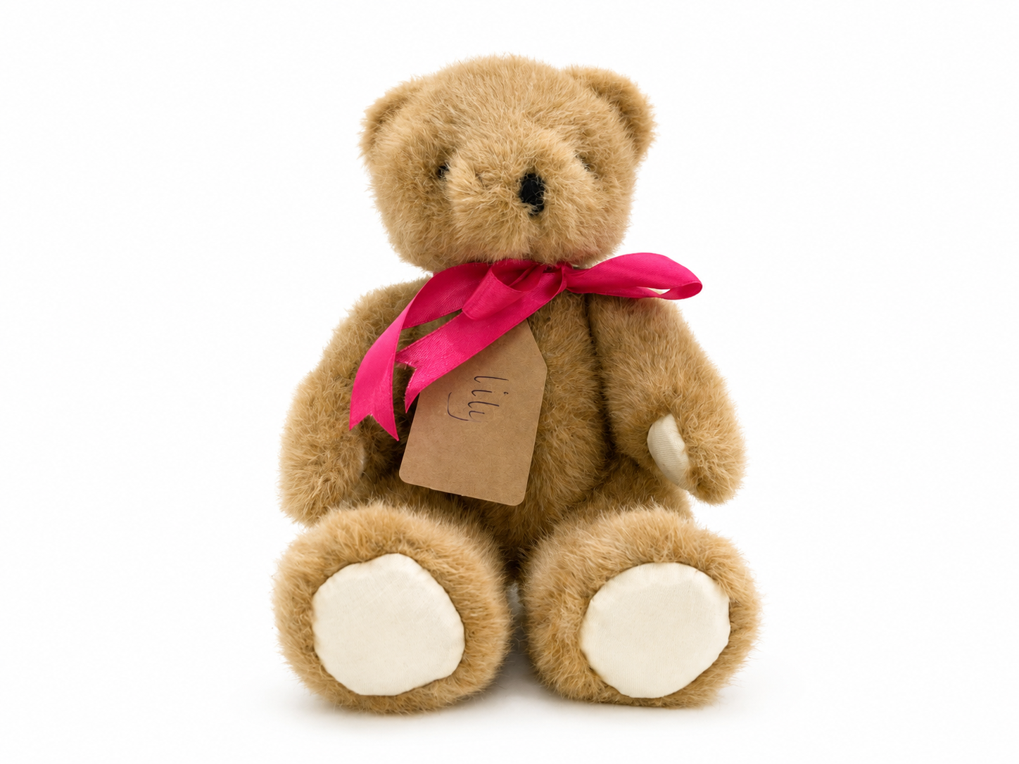 Lily, a rescued teddy bear