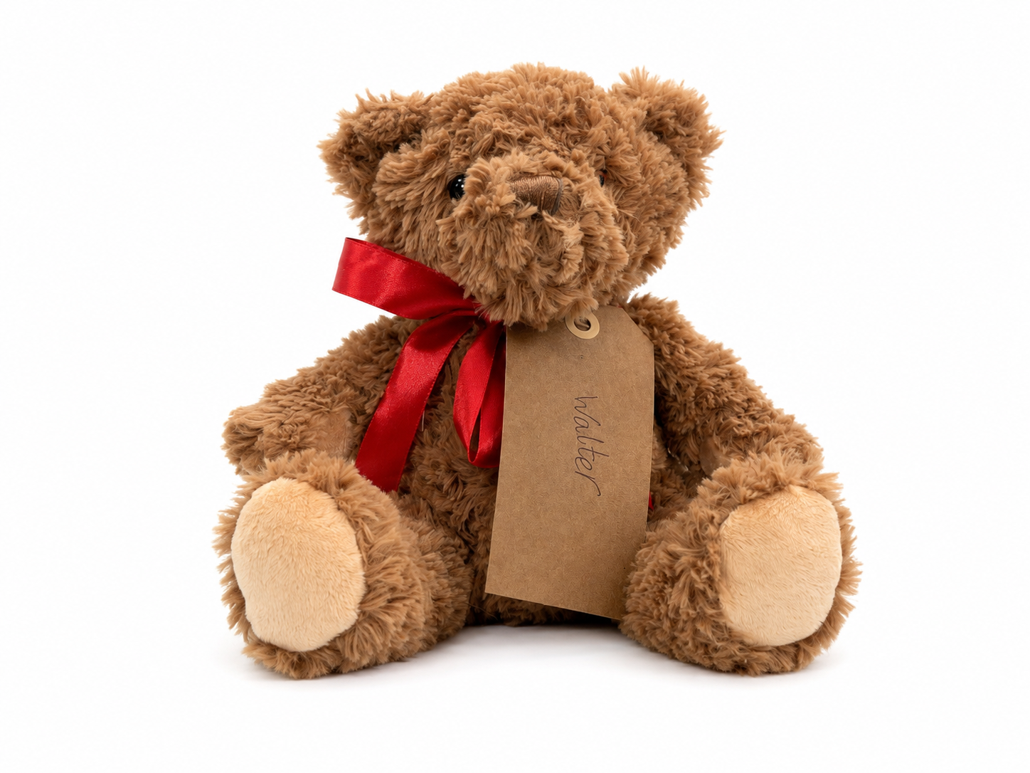 Walter, a rescued teddy bear