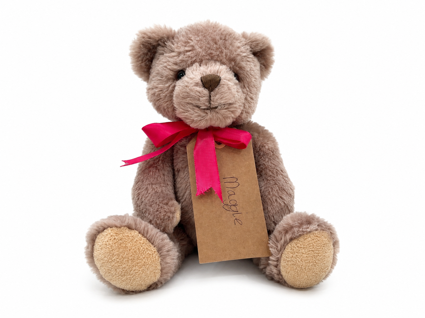 Maggie, a rescued teddy bear