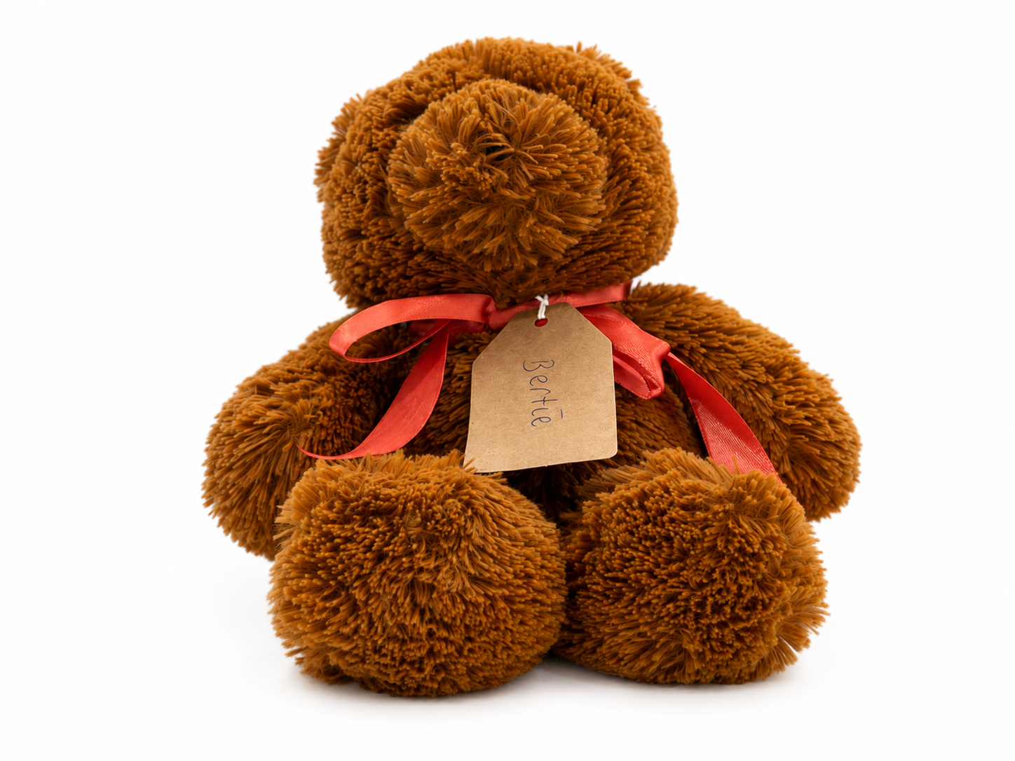 Bertie, a rescued teddy bear