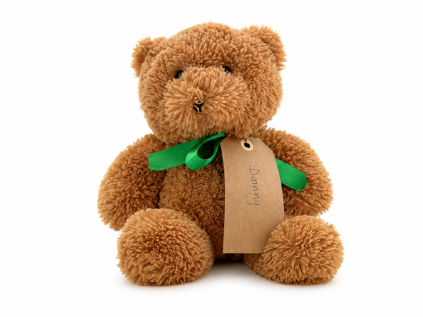 Danny, a rescued teddy bear