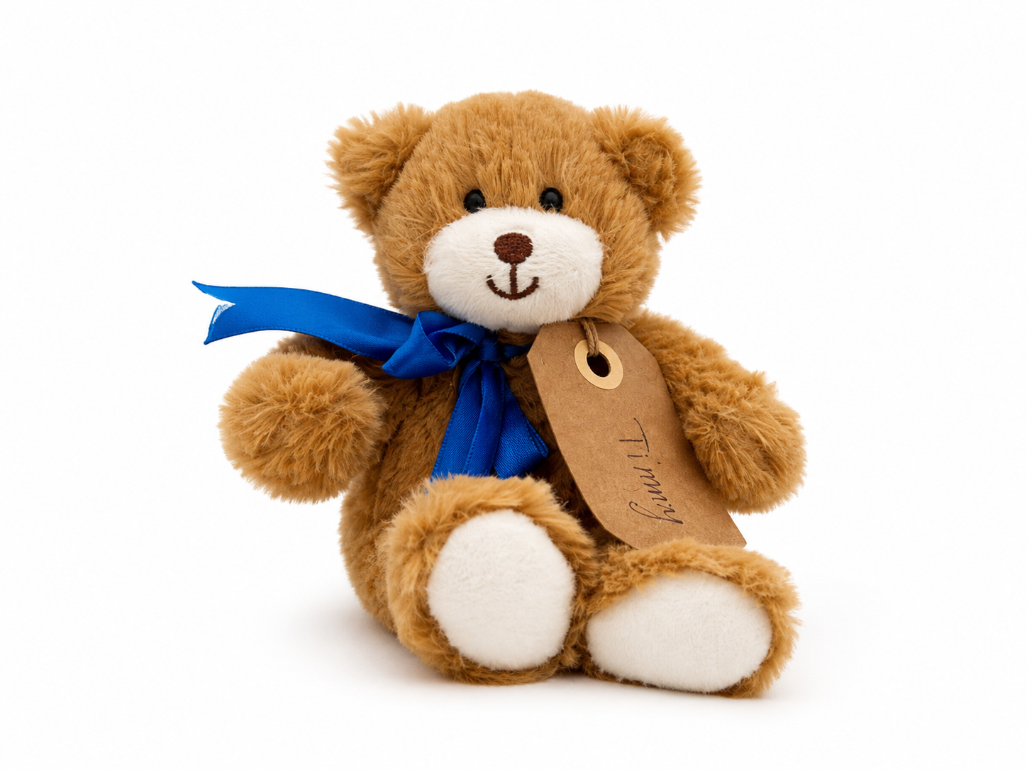 Timmy, a rescued teddy bear