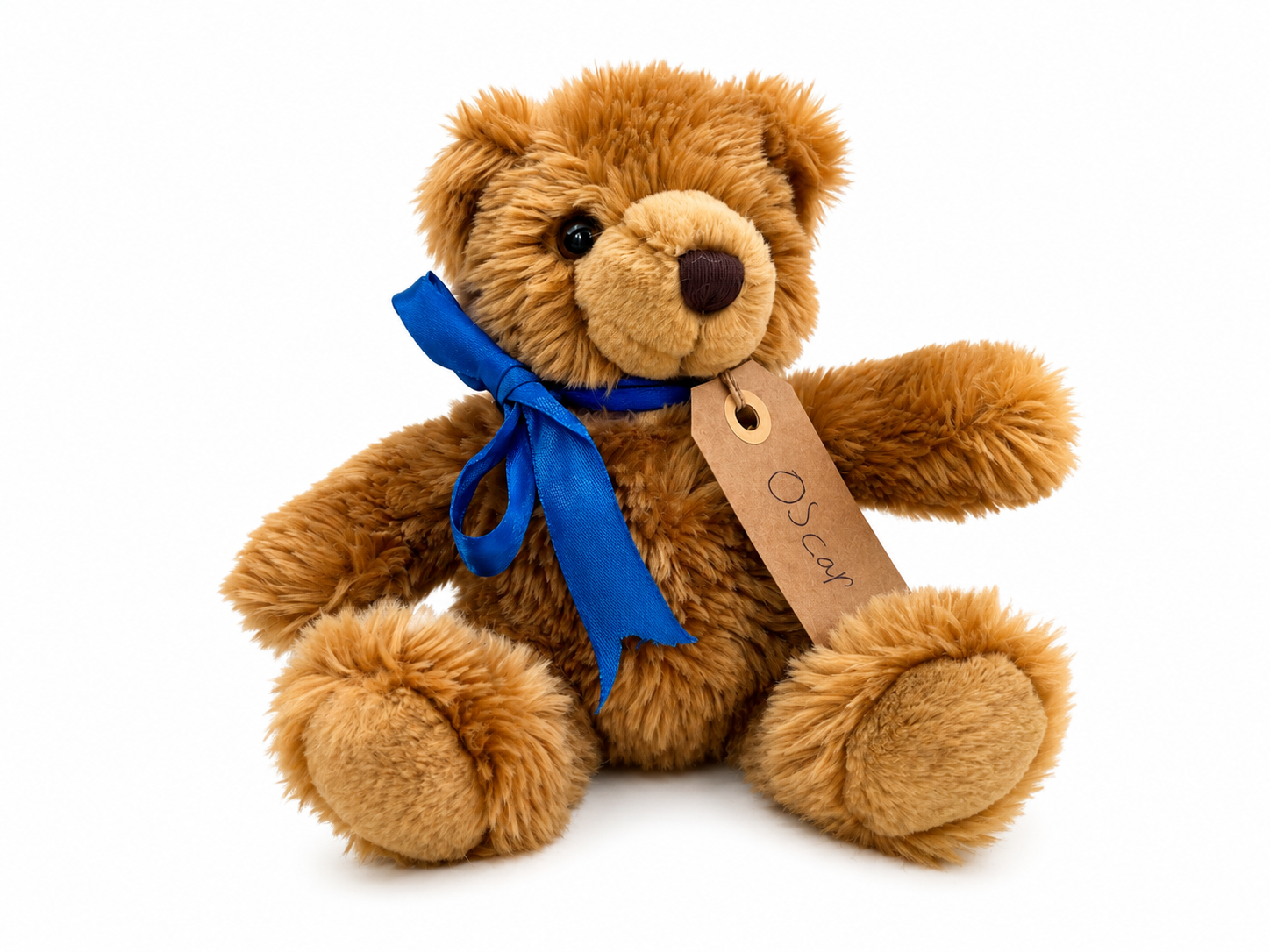 Oscar, a rescued teddy bear