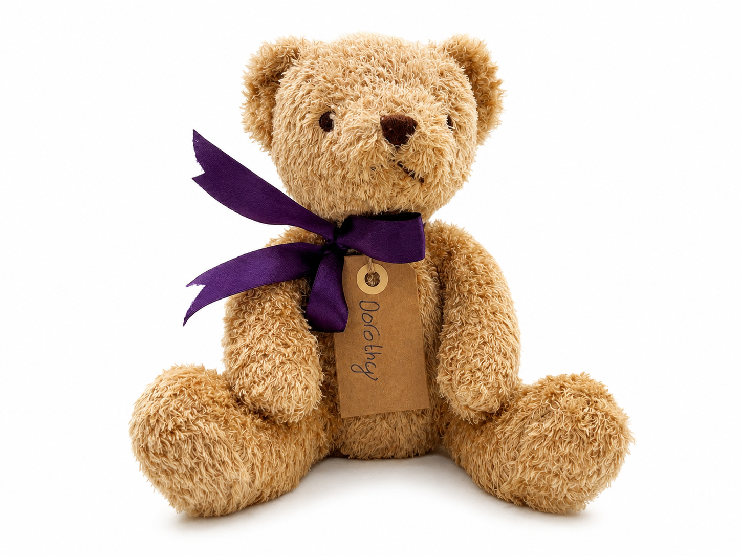 Dorothy, a rescued teddy bear