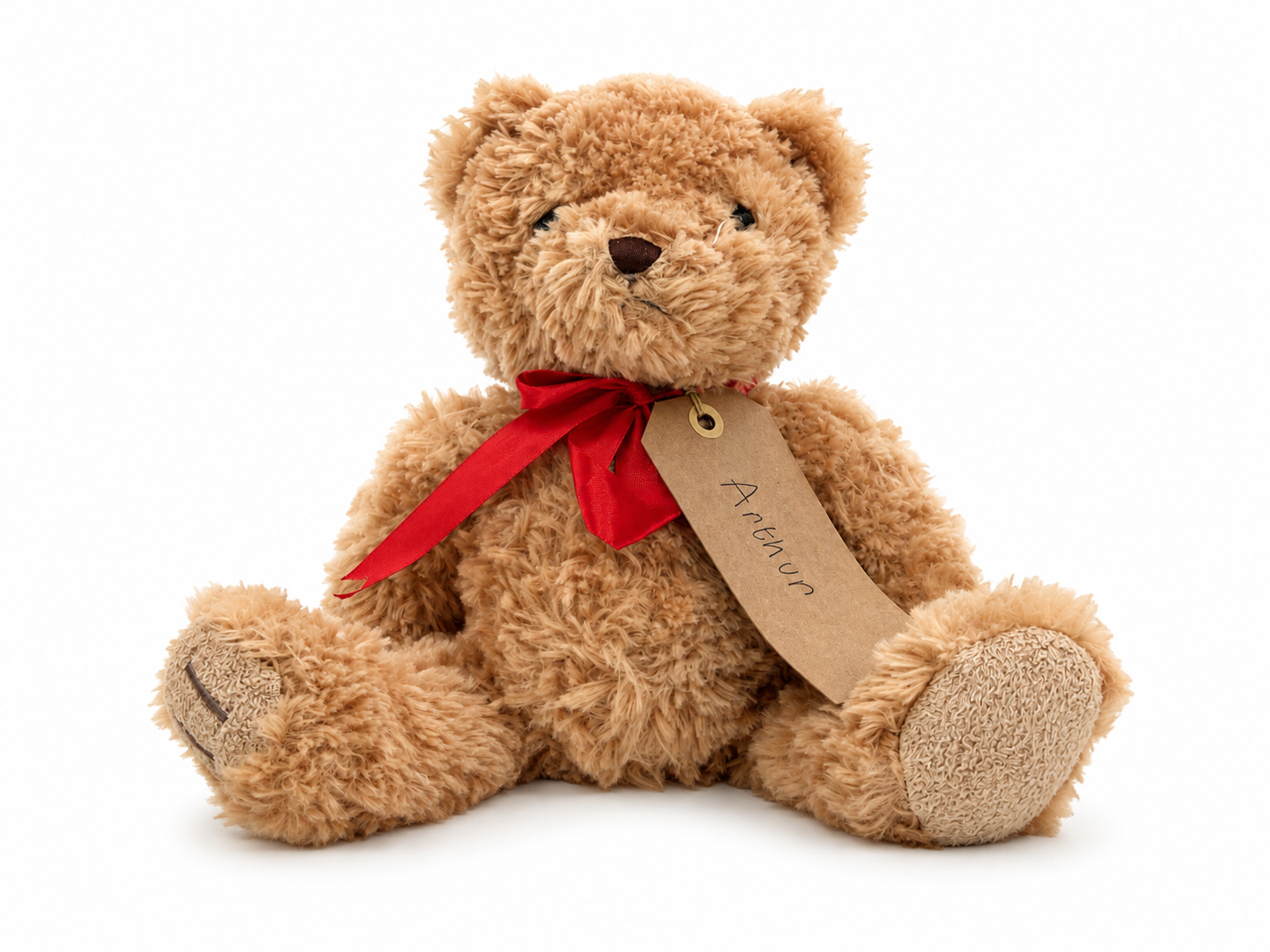 Arther, a rescued teddy bear