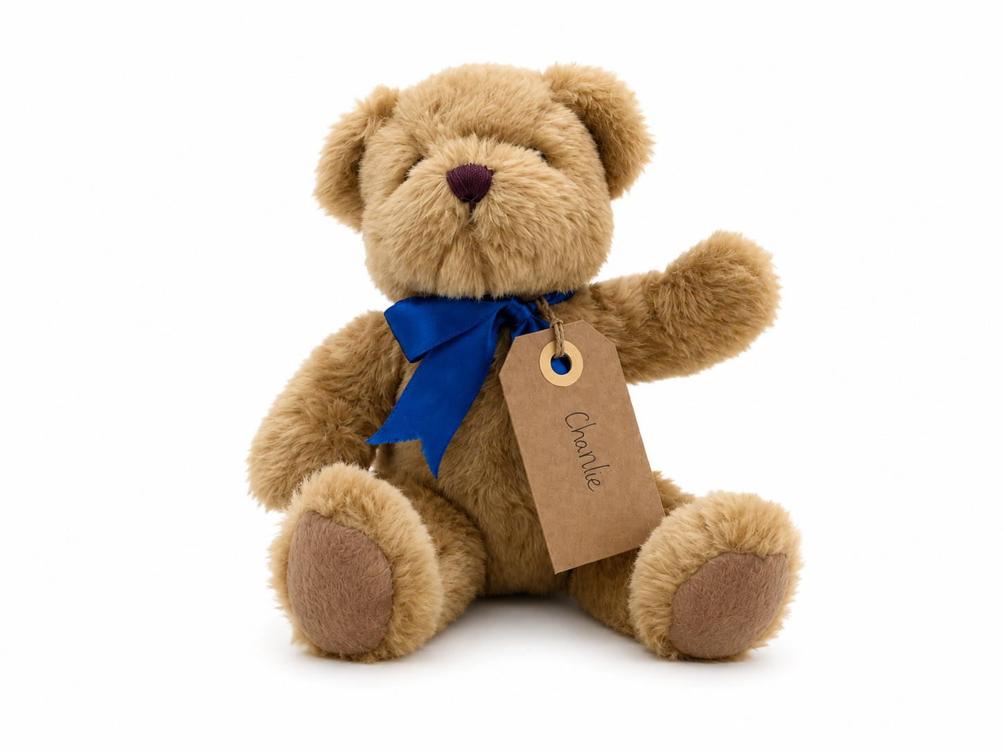 Charlie, a rescued teddy bear